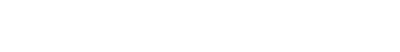 R TYPE