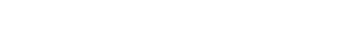 X TYPE